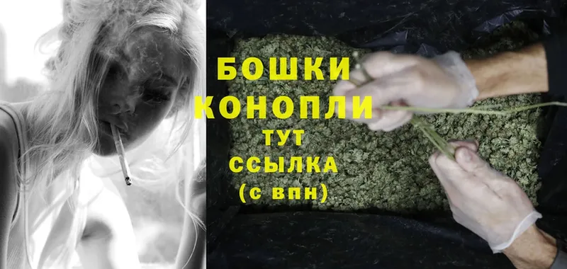 mega tor  Ардатов  Конопля SATIVA & INDICA 